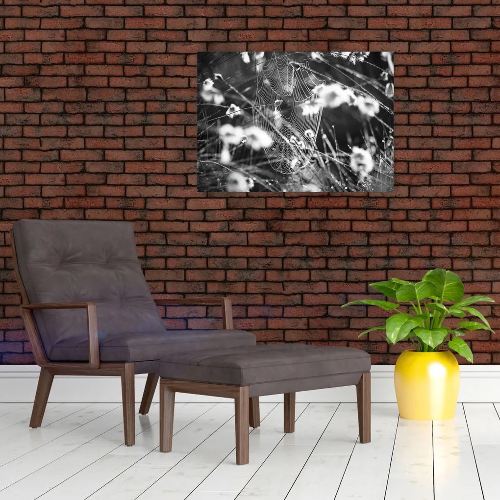 Obraz na szkle - Pajęczyna na łące (70x50 cm)