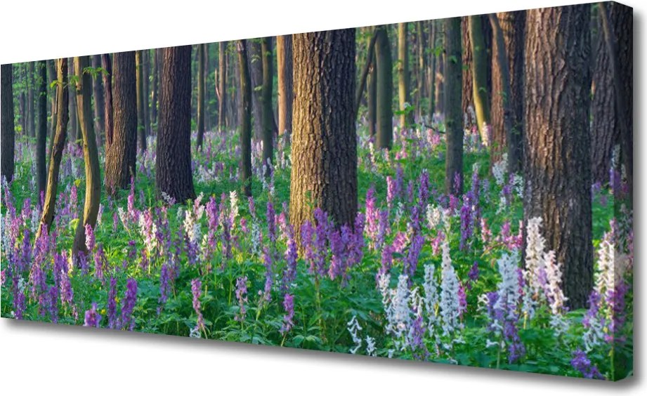 Zdjęcie na płótnie Korony Leśnych Drzew