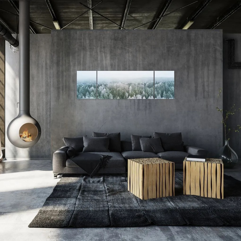 Obraz - Ośnieżone szczyty lasów (170x50 cm)
