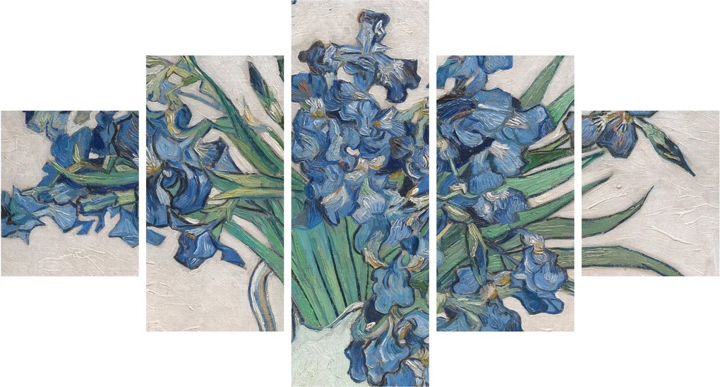 Obraz - Vincent van Gogh, Irises, reprodukcje (125x70 cm)