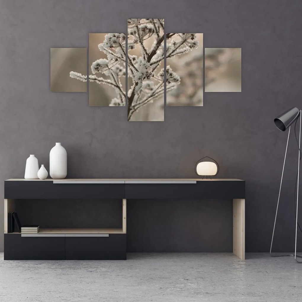 Obraz - Roślina w mrozie (125x70 cm)