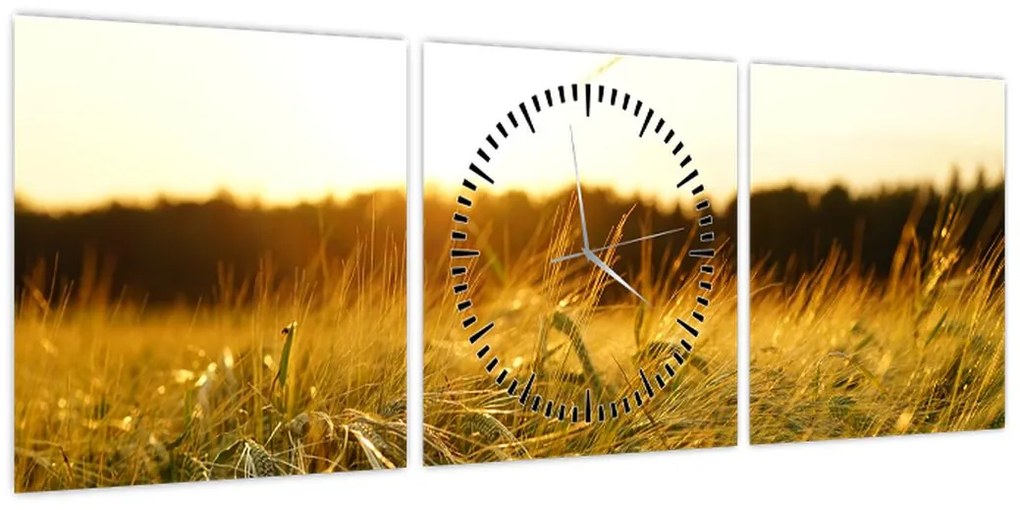 Obraz zroszonej trawy (z zegarem) (90x30 cm)
