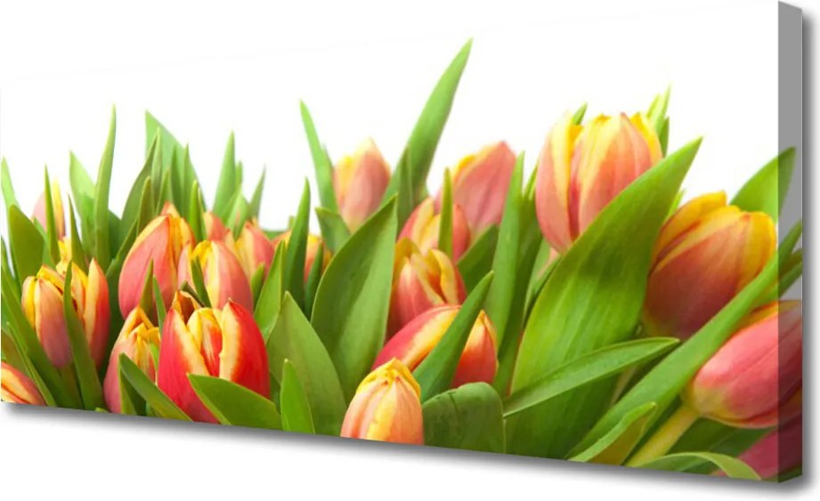 Obraz canvas Klasyczny Bukiet Tulipanów
