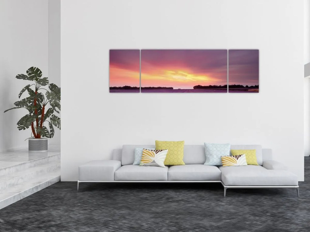 Obraz - Pole lawendy (170x50 cm)