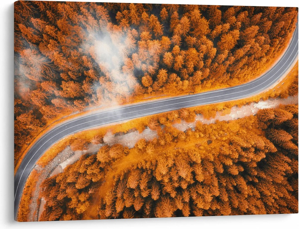 Obraz - Górska droga (70x50 cm)