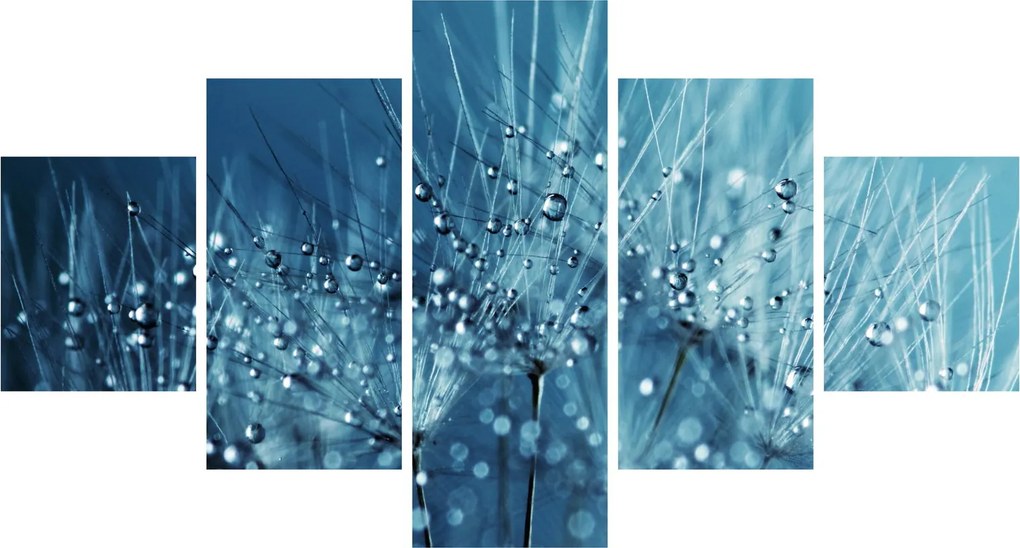 Obraz - Krople rosy (125x70 cm)