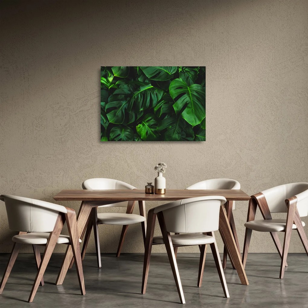 Obraz na szkle liści Monstery (70x50 cm)