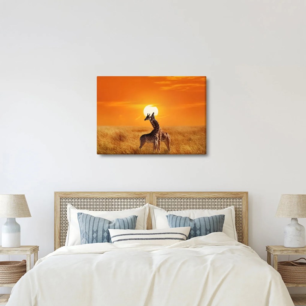 Obraz - Żyrafy w Parku Narodowym Serengeti (70x50 cm)
