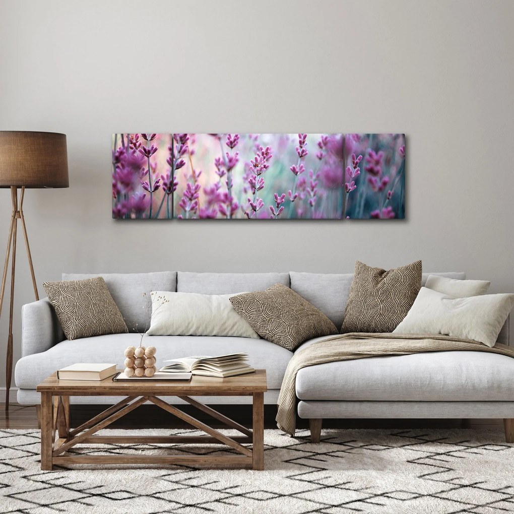 Obraz - Lawenda (170x50 cm)