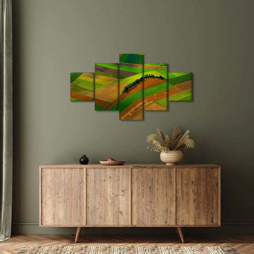 Obraz - Pola, łąki (125x70 cm)