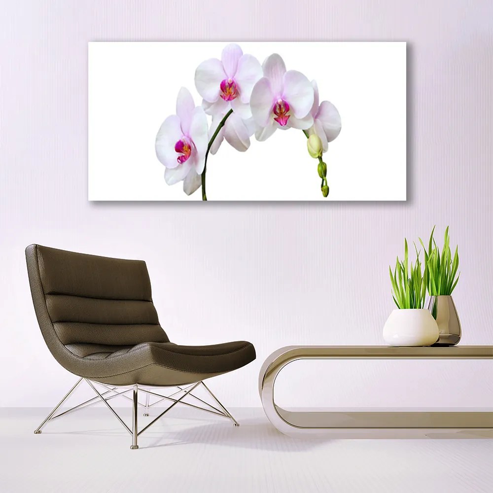 Obraz Canvas Storczyk Orchidea Kwiaty