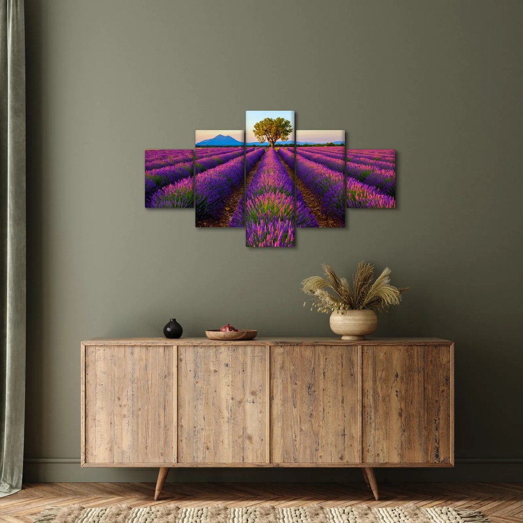 Obraz - Pole lawendy (125x70 cm)
