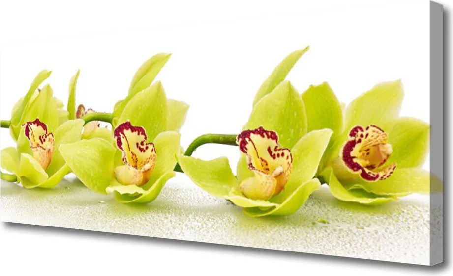 Zdjęcie na płótnie Harmonijny Ogród Kwiatowy