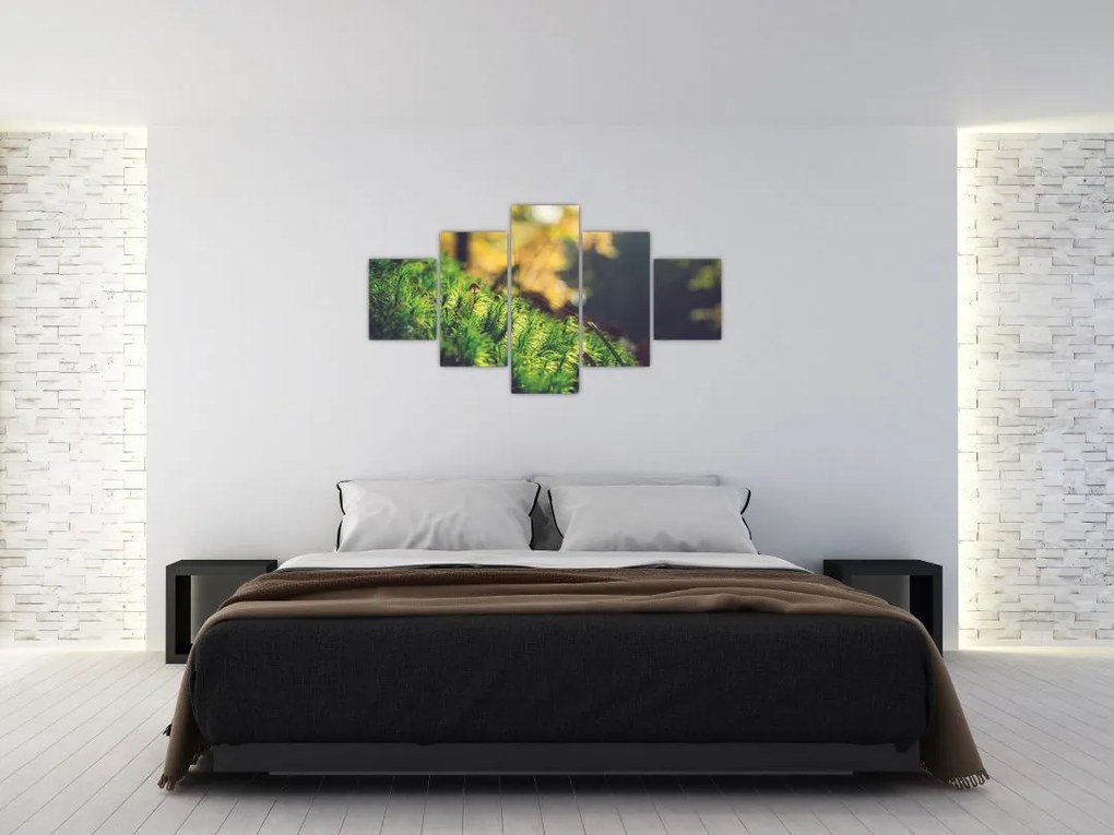 Obraz mchu z grzybem (125x70 cm)