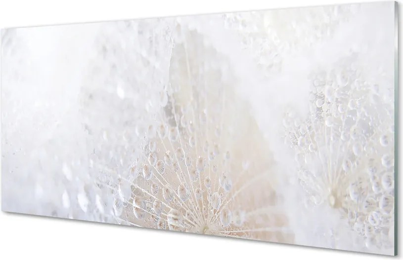 Szklany Panel Dmuchawiec i Rosa w Abstrakcji