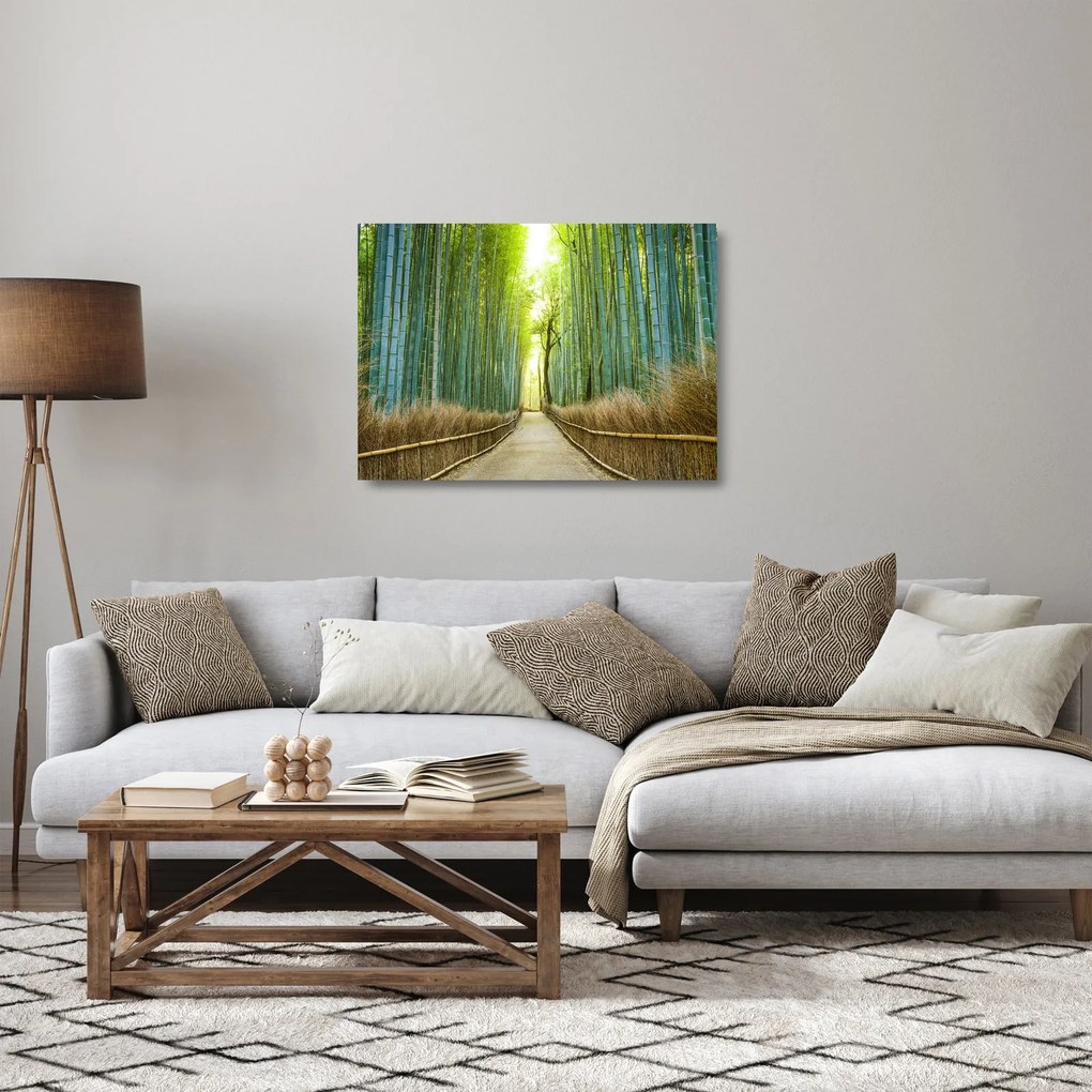 Obraz na szkle - Las bambusowy (70x50 cm)