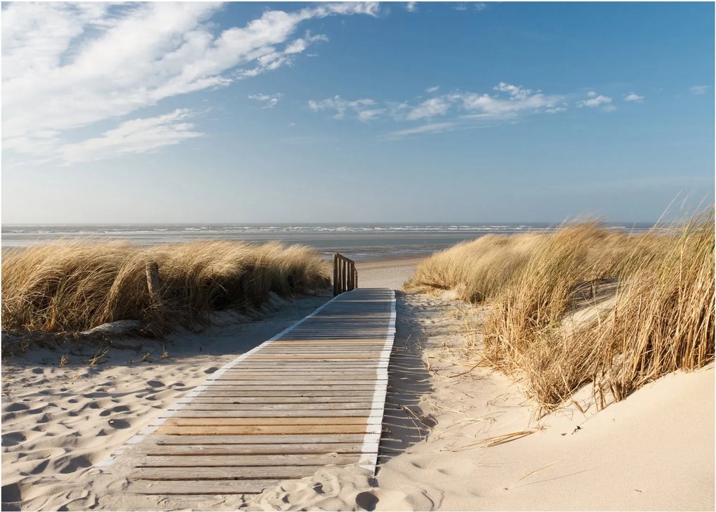 Obraz - Piaszczysta plaża na wyspie Langeoog, Niemcy (70x50 cm)