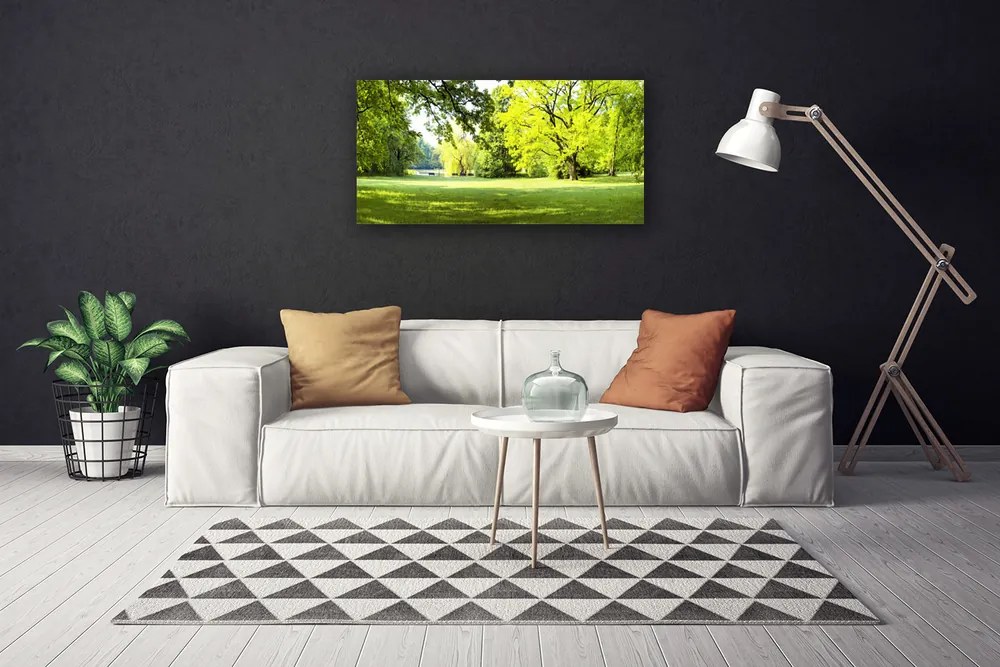 Obraz canvas Parkowa Aleja w Słońcu