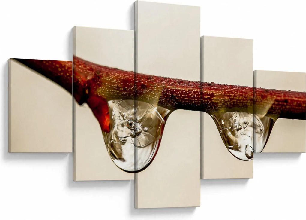 Obraz kropli na gałęzi (125x70 cm)