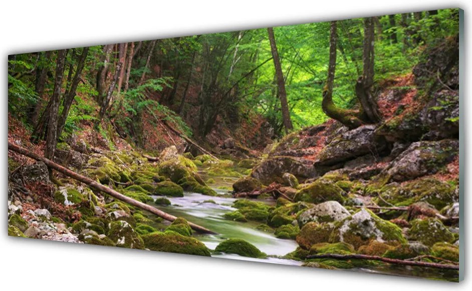 Panel Szklany Głęboka Zieleń Leśnego Mchu