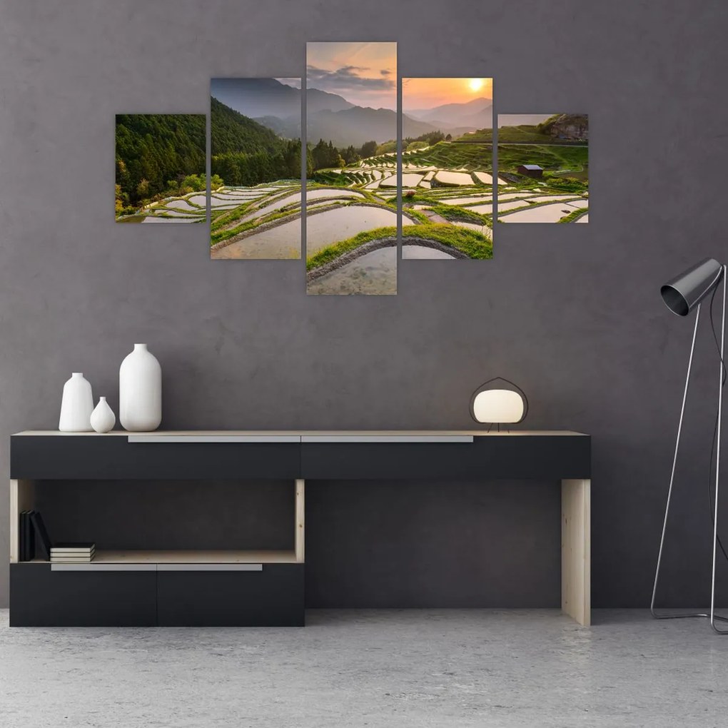Obraz - Tarasy ryżowe (125x70 cm)