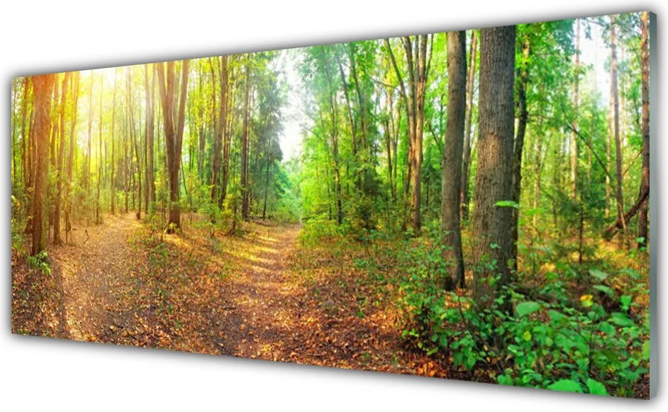 Panel Kuchenny Głusza Starego Lasu