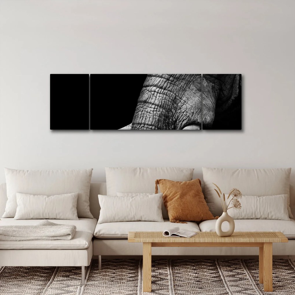 Obraz - Kły słonia (170x50 cm)