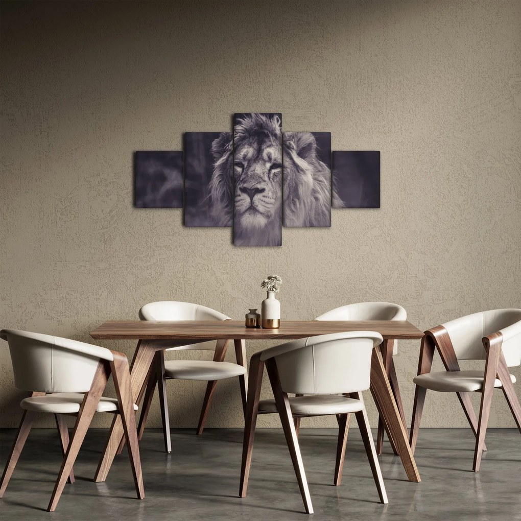 Obraz lwa (125x70 cm)