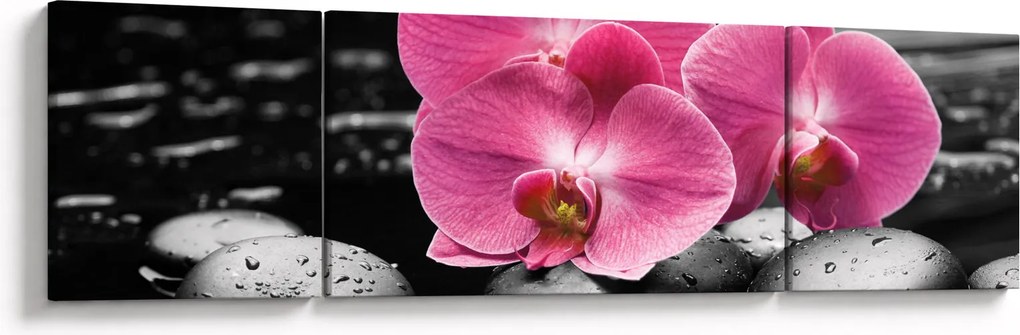 Obraz - Różowe orchidee (170x50 cm)