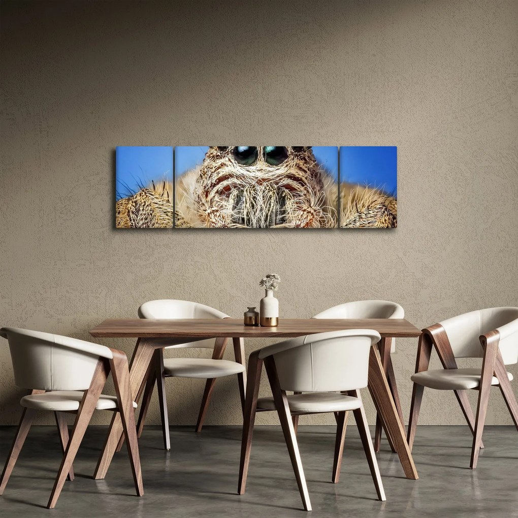 Obraz szczegółu pająka (170x50 cm)