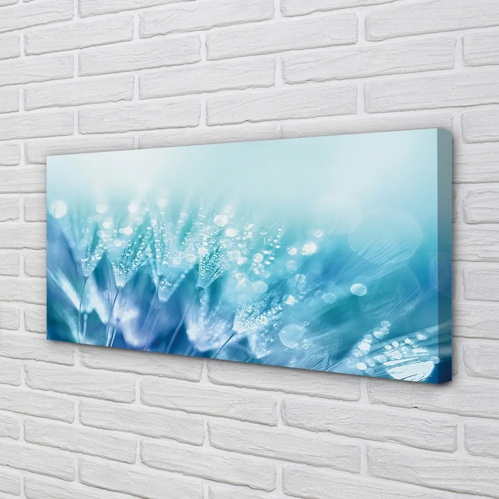 Obraz na płótnie Artystyczna Wizja Dmuchawca