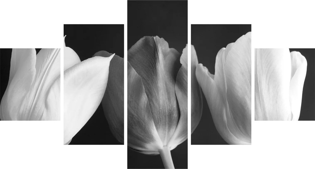 Obraz - Czarno - białe kwiaty tulipanów (125x70 cm)