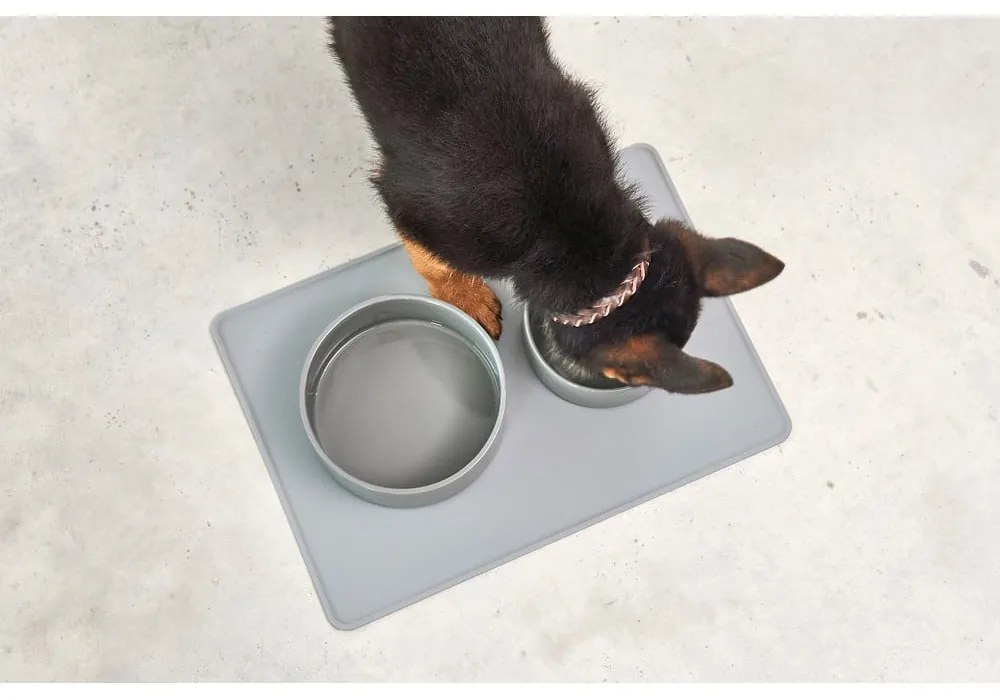 Porcelanowa miska dla psów ø 16 cm Scodella Cement S/M – MiaCara