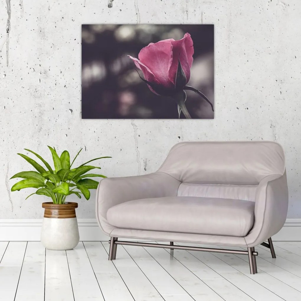 Obraz na szkle - Detal kwiatu róży (70x50 cm)