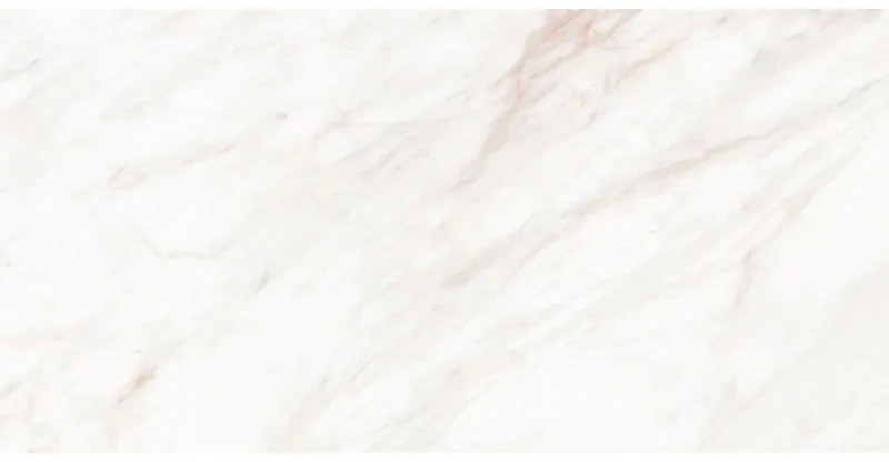 Mexen Forever Grey próbka gresu szkliwionego rekt. G1, płytka podłogowo-ścienna, połysk - TL139-00-S