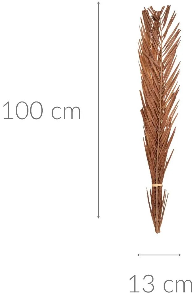 Suszone kwiaty do salonu, gałązki dekoracyjne 100 cm