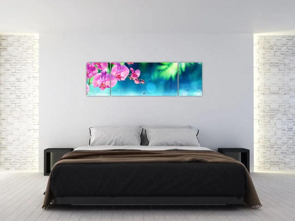 Obraz - Orchidea (170x50 cm)