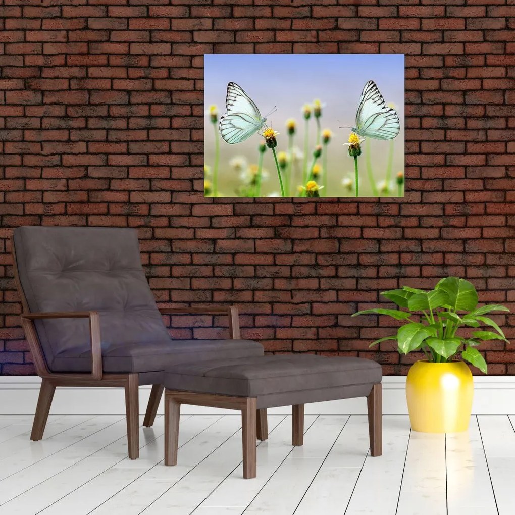 Obraz na szkle motyli na kwiatku (70x50 cm)