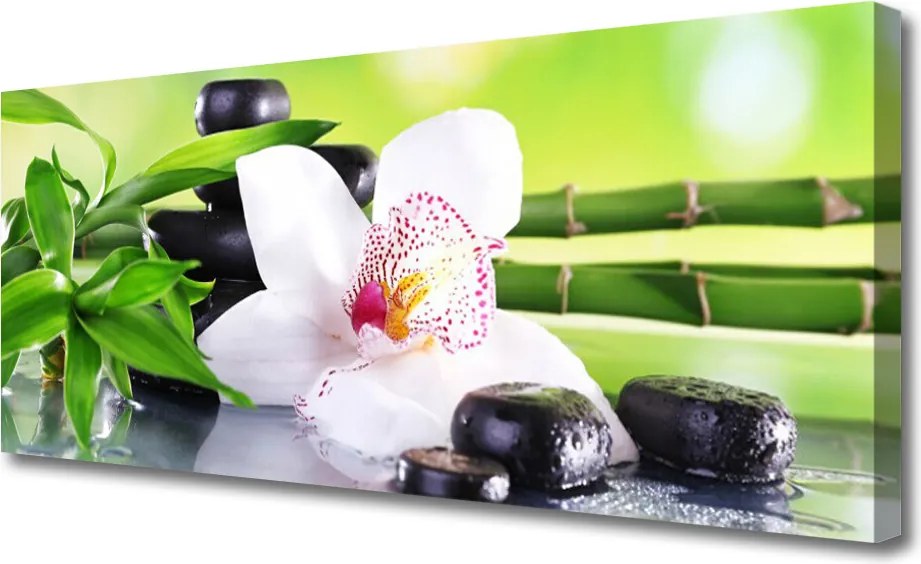 Obraz canvas Sielski Urok Polnej Łąki