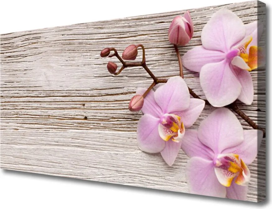 Obraz canvas na ścianę Polna Łąka Pełna Kwiatów