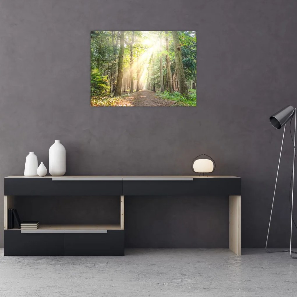 Obraz na szkle ścieżki w lesie (70x50 cm)