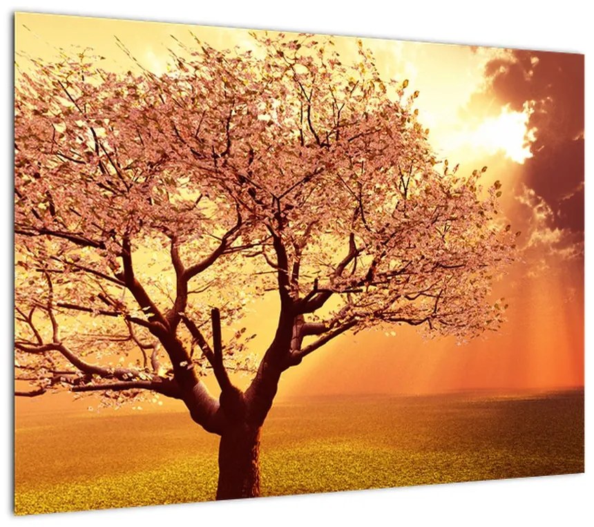 Obraz na szkle promieni Boga (70x50 cm)