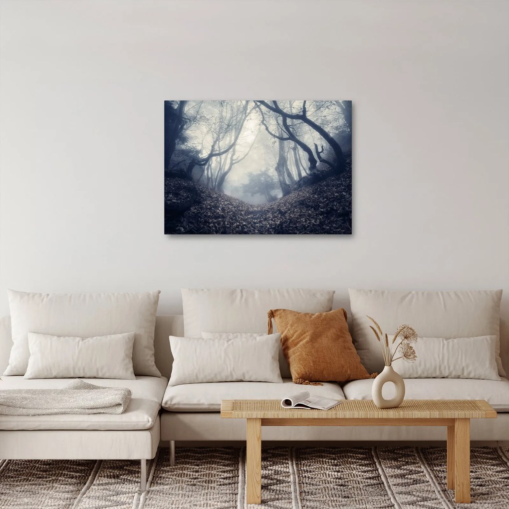 Obraz- Las we mgle (70x50 cm)
