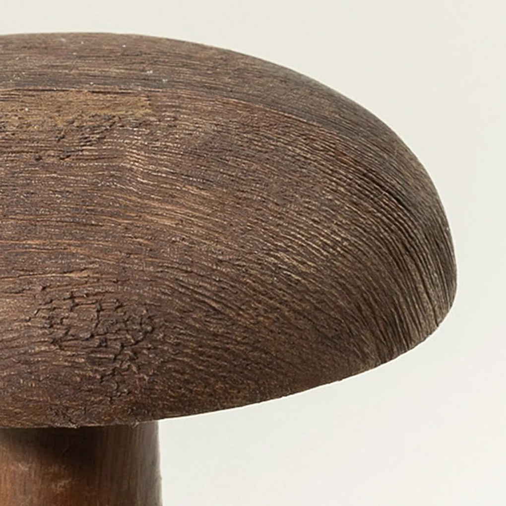 Grzybek Darkcap 12x18 cm