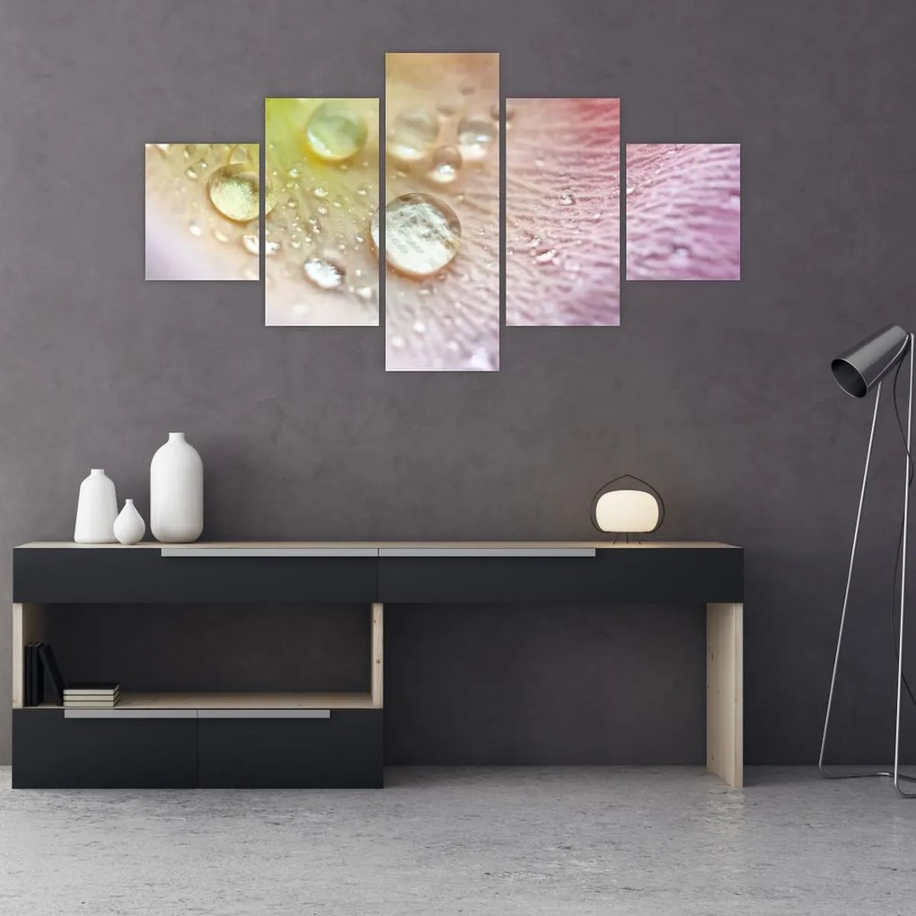 Obraz - Krople rosy (125x70 cm)