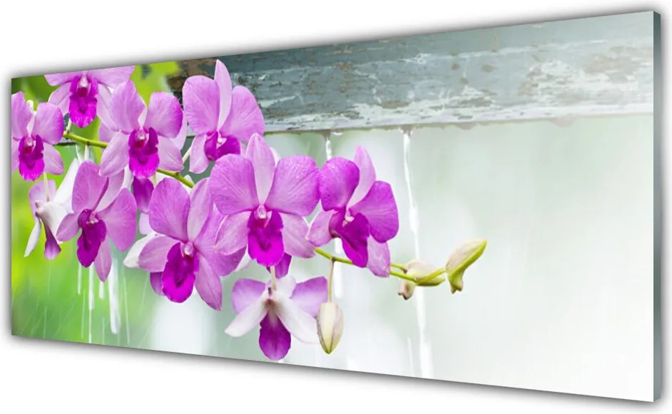 Panel Szklany do Kuchni Storczyki w Deszczowej Świeżości