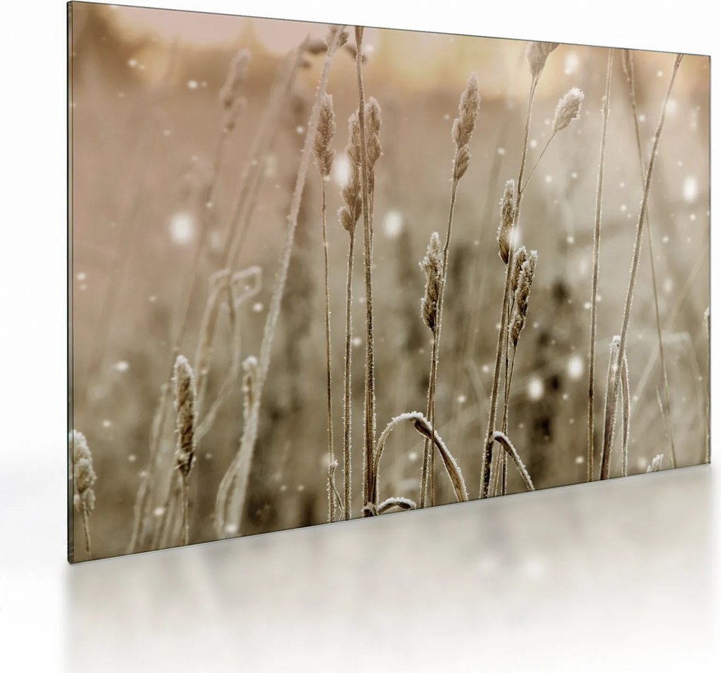 Obraz na szkle - Harmonious Meadow (70x50 cm)