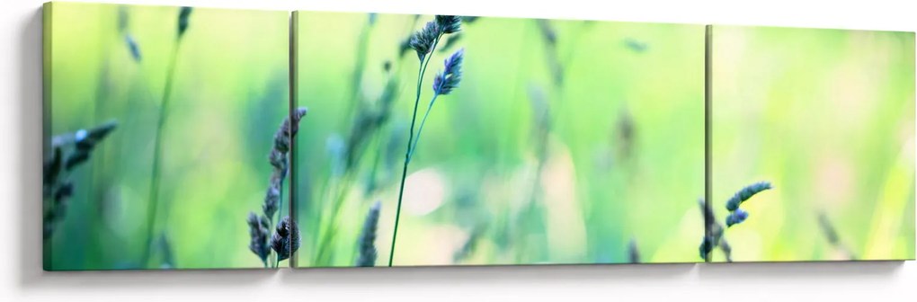 Obraz - Szczegół łąki (170x50 cm)
