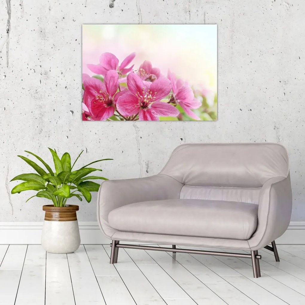 Obraz na szkle - Różowe kwiaty (70x50 cm)