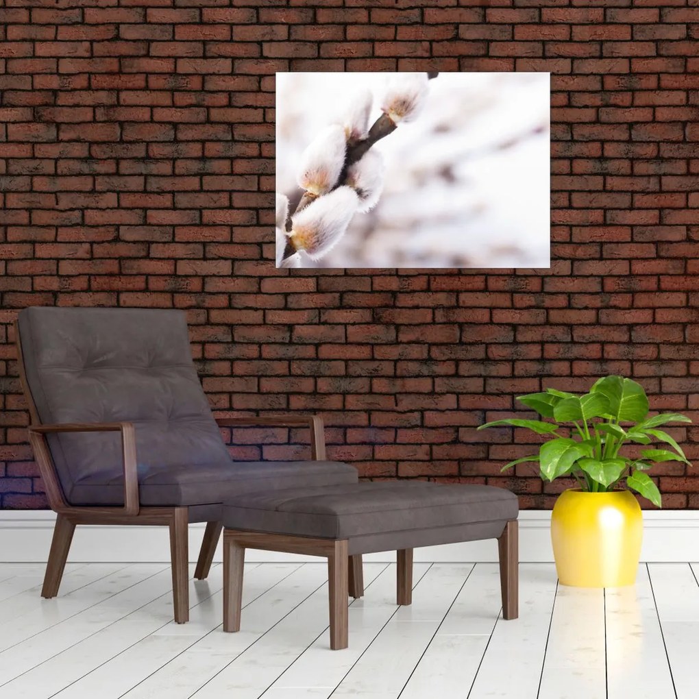Obraz - Gałąź wierzby płaczącej (70x50 cm)